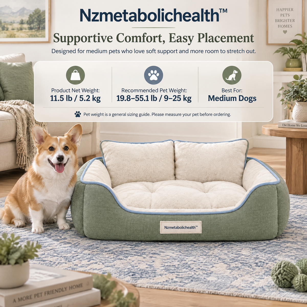 Nzmetabolichealth™ Sage Comfort Bolster Sofa Bed